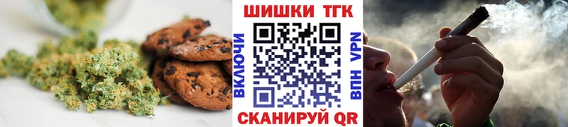 Canna-Cookies марихуана  где найти   гидра   Болохово 